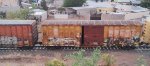 SRN 5554